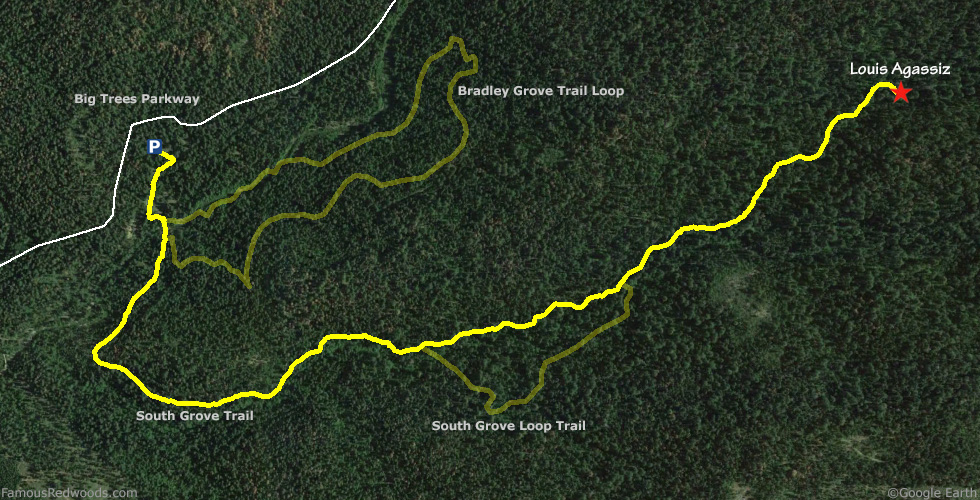Louis Agassiz Tree Hike Map