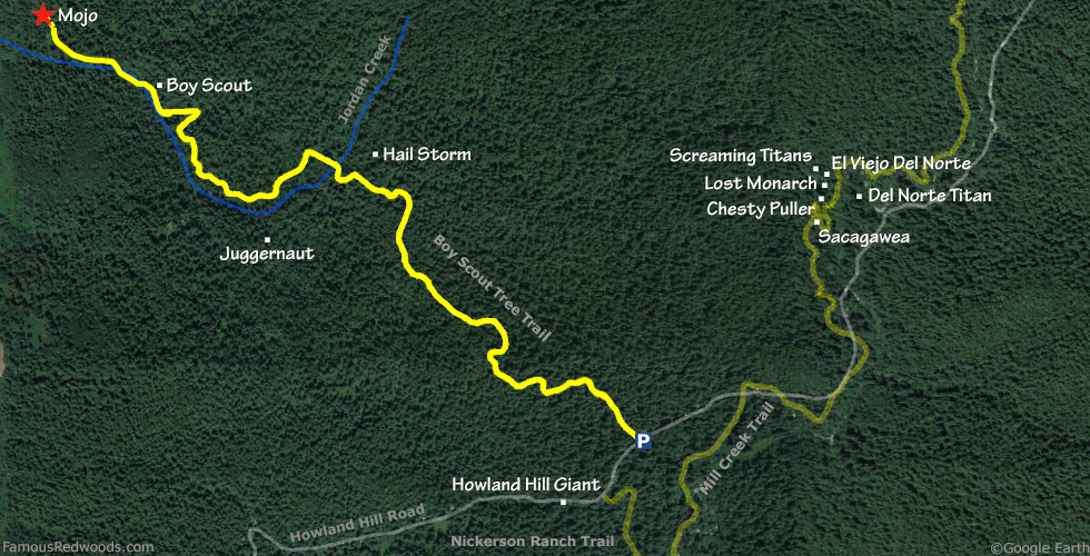 Mojo Tree Hike Map