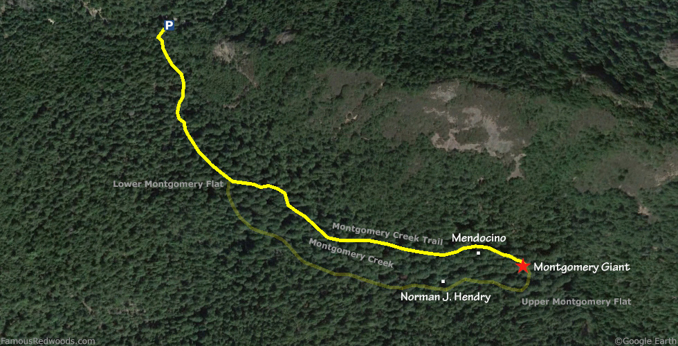 Montgomery Giant Tree Hike Map