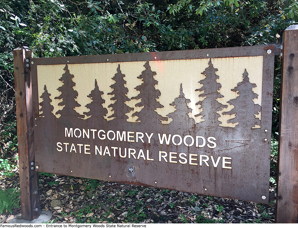 Montgomery Woods State Natural Reserve - Sign