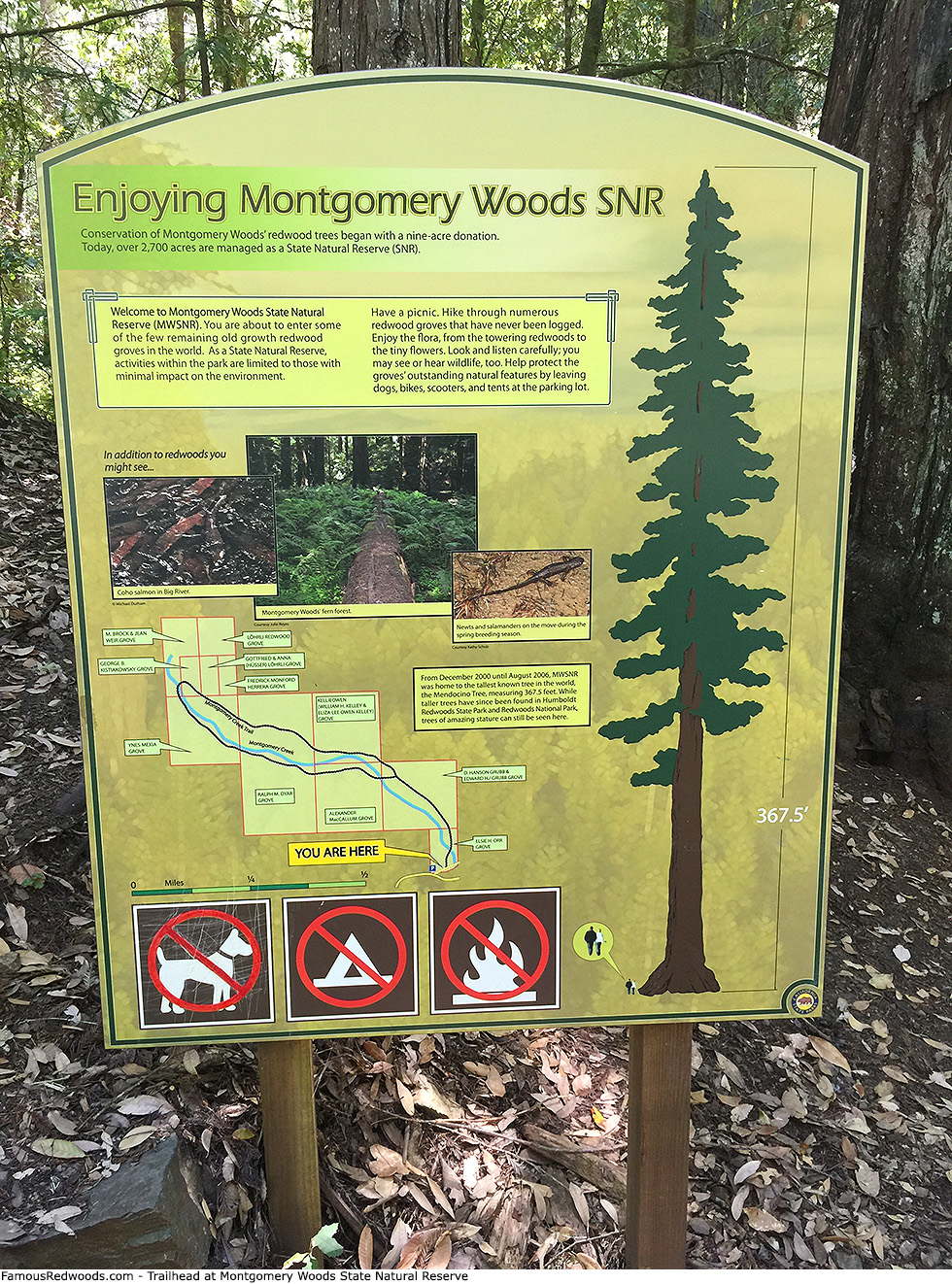 Montgomery Woods State Natural Reserve - Trailhead
