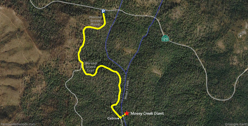 Mossy Creek Giant Tree Hike Map