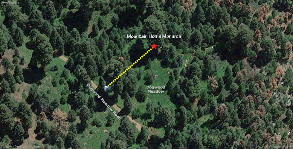 Mountain Home Monarch Tree Hike Map