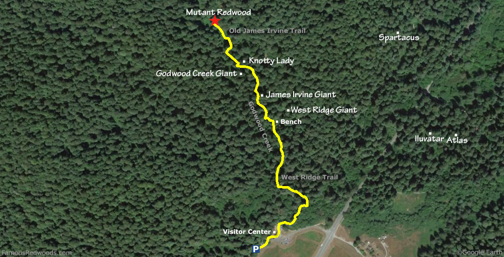 Mutant Redwood Tree Hike Map