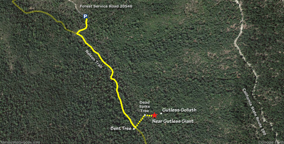 Near Gutless Giant Tree Hike Map