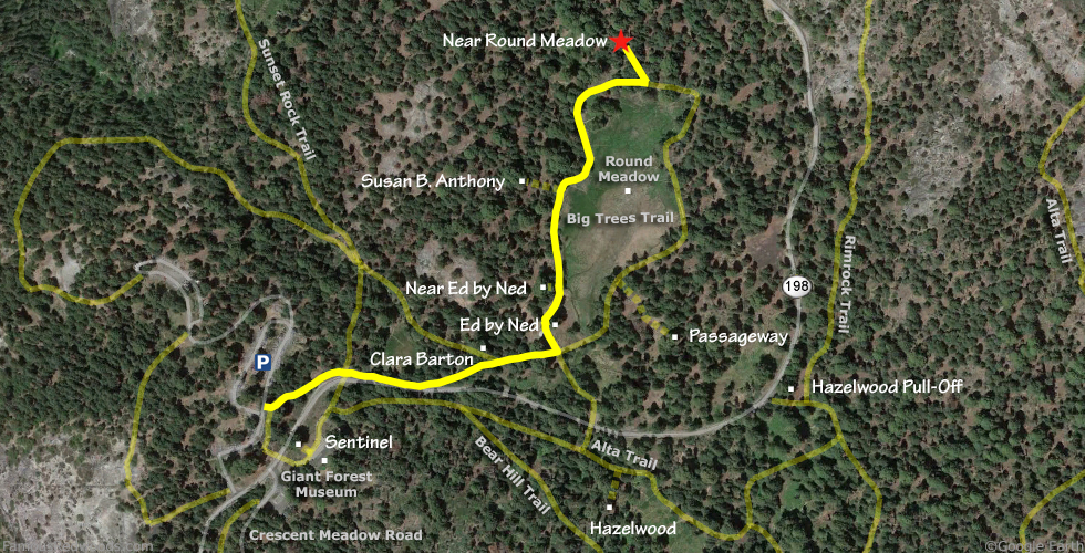 Near Round Meadow Tree Hike Map