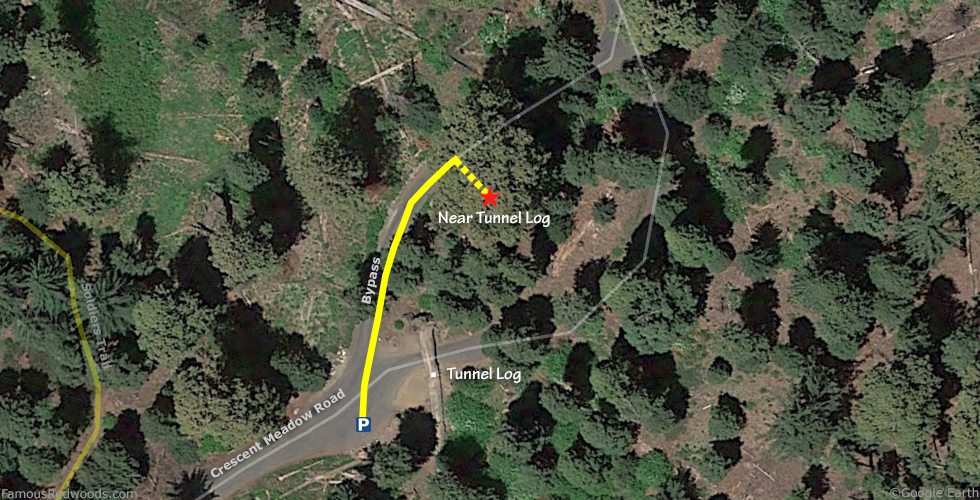 Near Tunnel Log Tree Hike Map