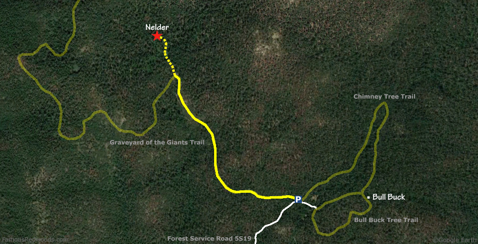 Nelder Tree Hike Map