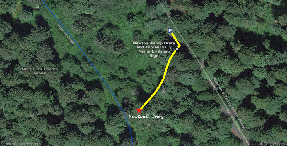 Newton B. Drury Tree Hike Map