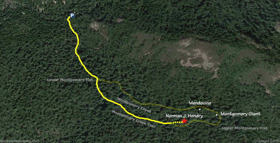 Norman J. Hendry Tree Hike Map