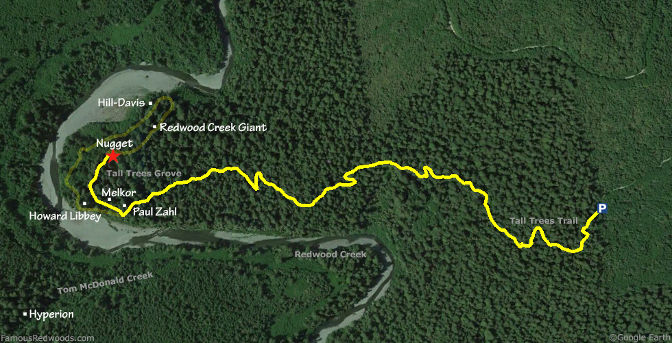 Nugget/National Geographic Tree Hike Map