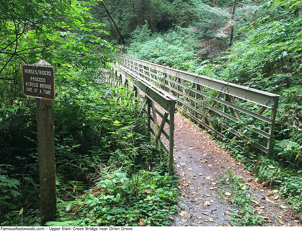 Orion Grove - Elam Creek Bridge