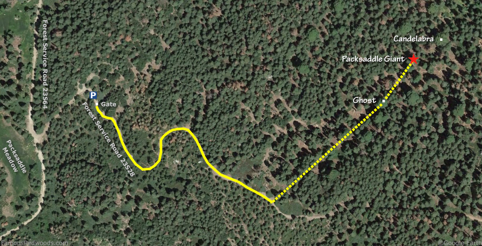 Packsaddle Giant Tree Hike Map