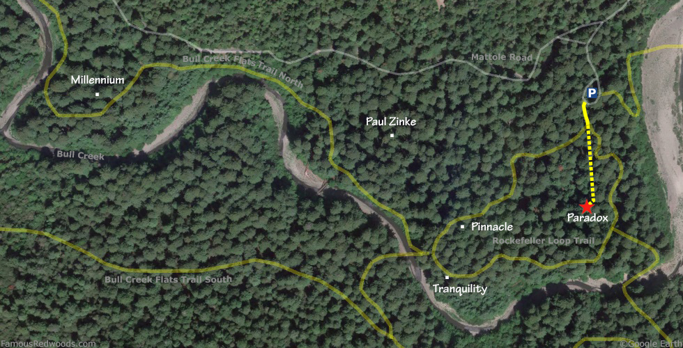 Paradox Tree Hike Map