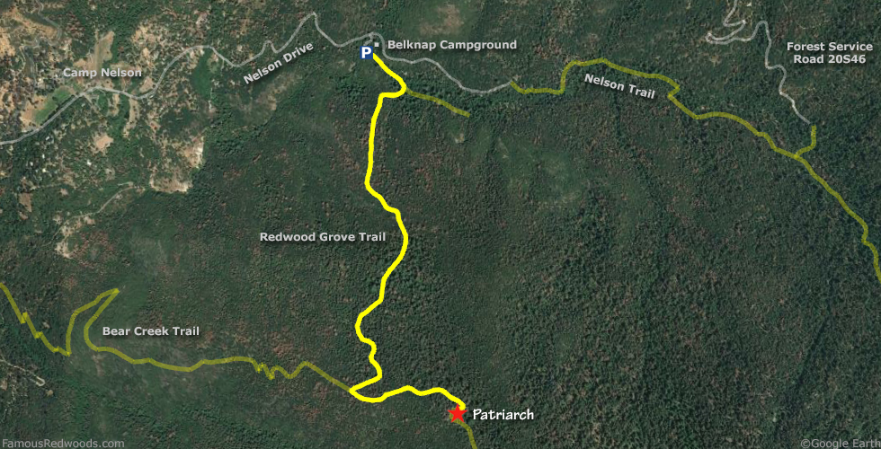 Patriarch Tree Hike Map