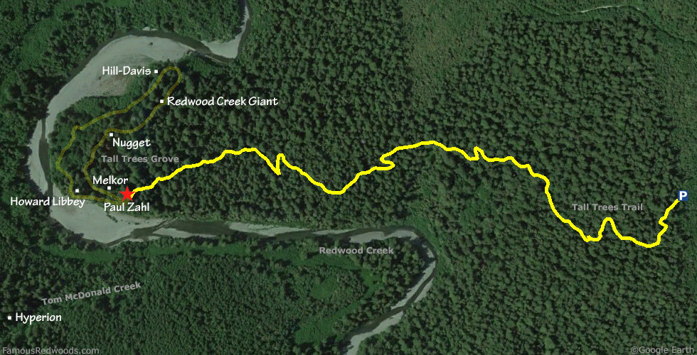 Paul Zahl Tree Hike Map