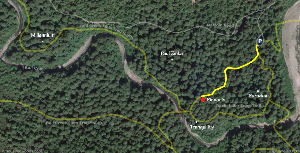 Pinnacle Tree Hike Map