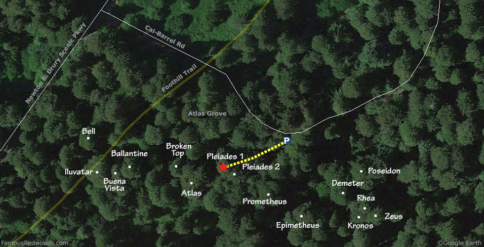 Pleiades 1 Tree Hike Map