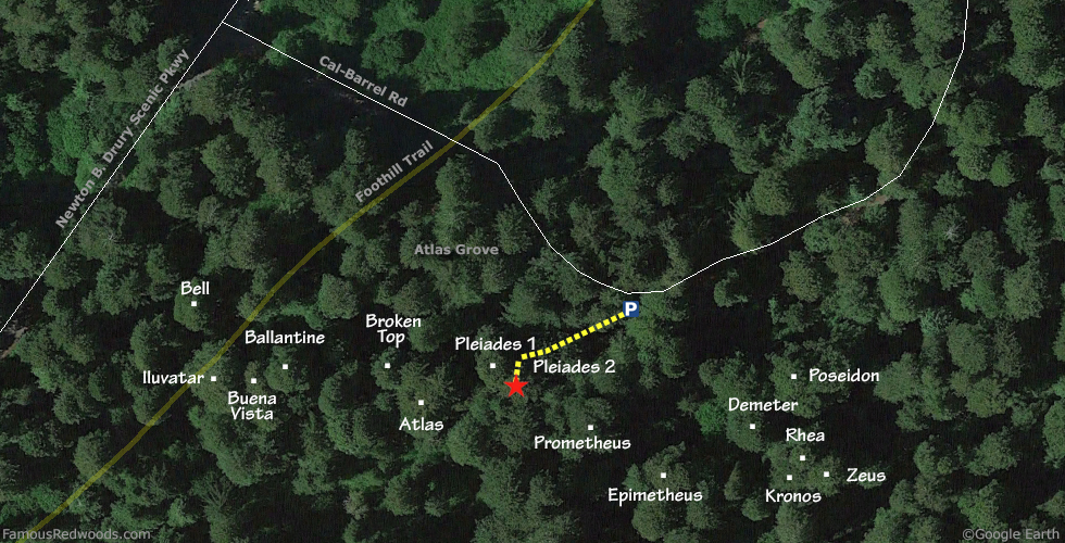 Pleiades 2 Tree Hike Map