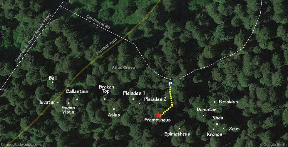 Prometheus Tree Hike Map