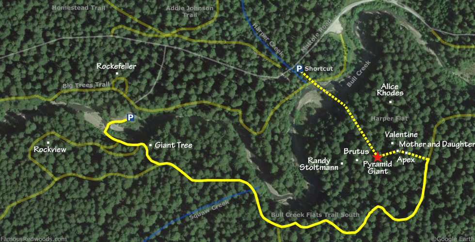 Pyramid Giant Tree Hike Map