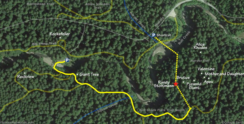 Randy Stoltmann Tree Hike Map