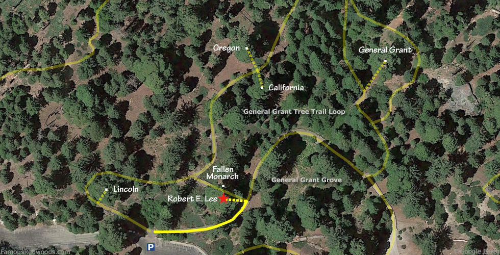 Robert E. Lee Tree Hike Map