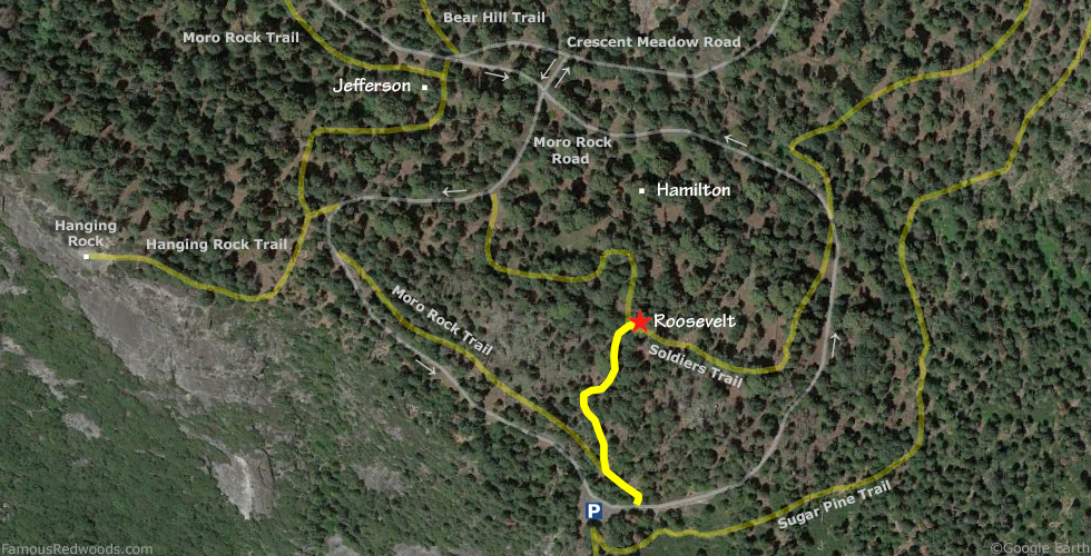 Roosevelt Tree Hike Map