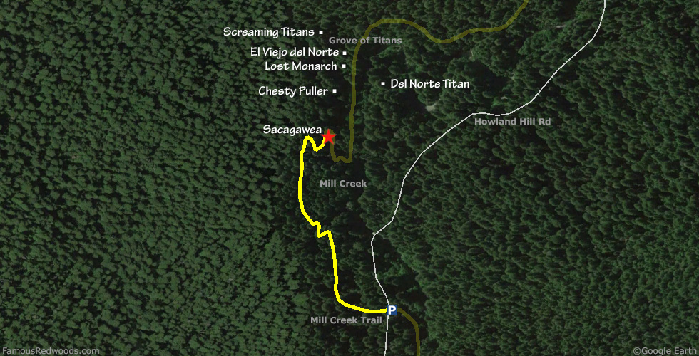 Sacagawea Tree Hike Map