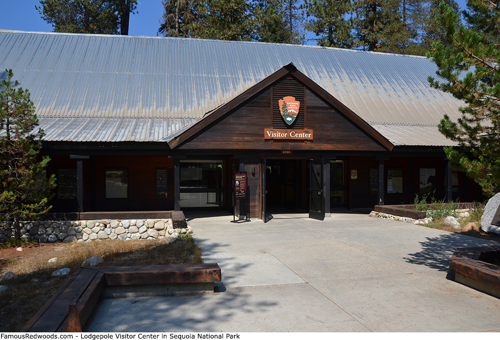 Sequoia National Park - Lodgepole Visitor Center