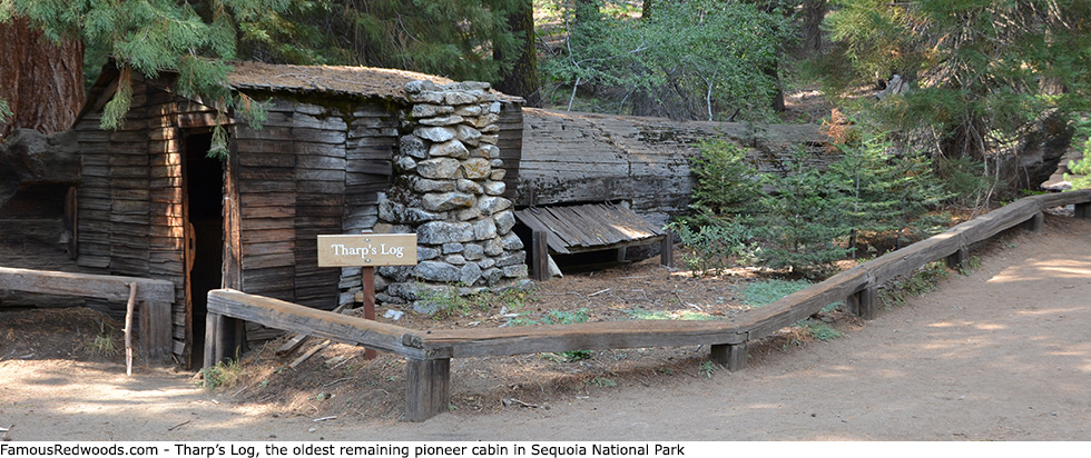 Sequoia National Park - Tharp's Log Tree