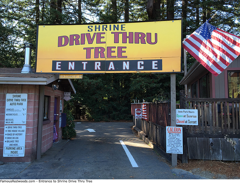 Shrine Drive Thru Tree - Entrance
