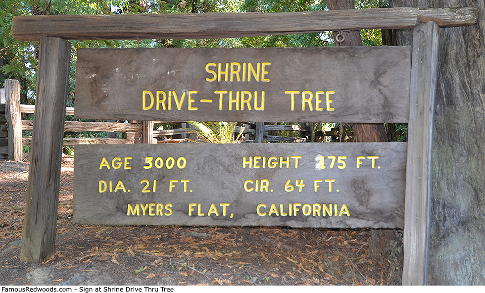 Shrine Drive Thru Tree - Sign