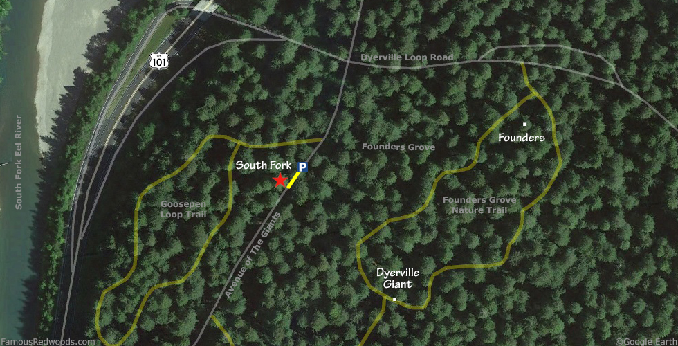South Fork Tree Hike Map