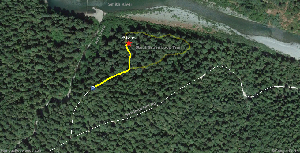 Stout Tree Hike Map
