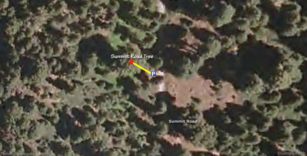 Summit Road Tree Hike Map