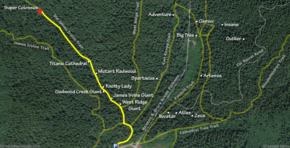 Super Colossus Tree Hike Map