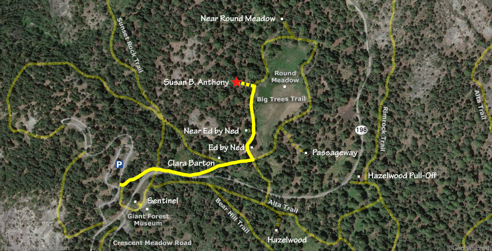 Susan B. Anthony Tree Hike Map
