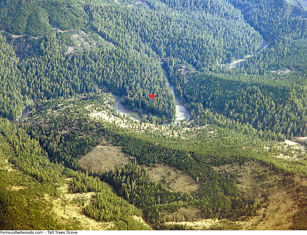 Tall Trees Grove - Aerial view of Tall Trees Grove