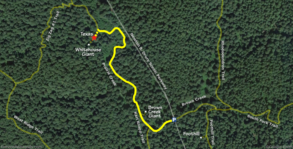 Texas Tree Hike Map
