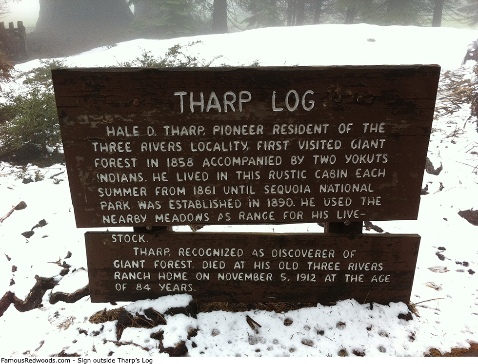 Tharp's Log Tree