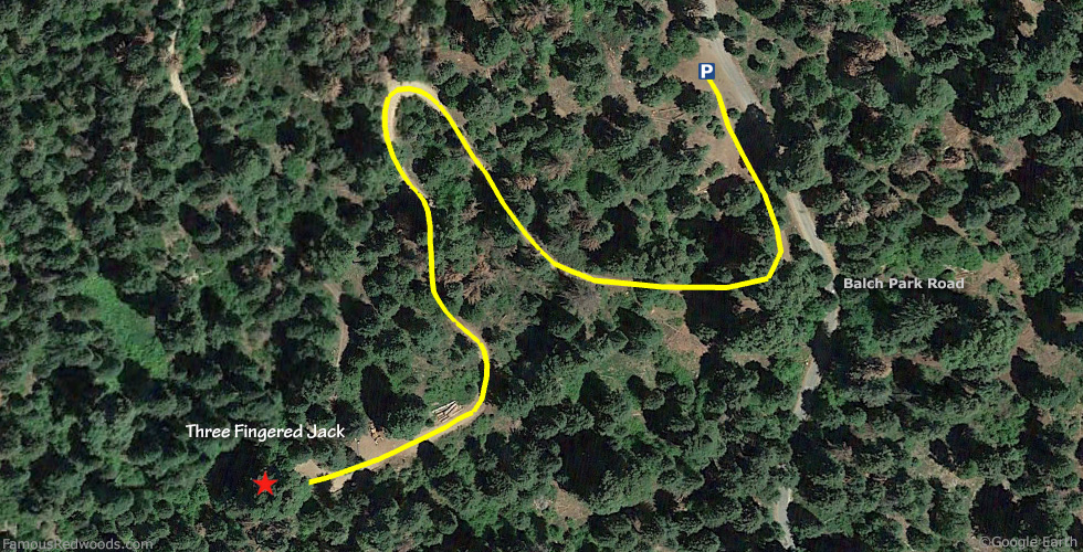 Three Fingered Jack Tree Hike Map