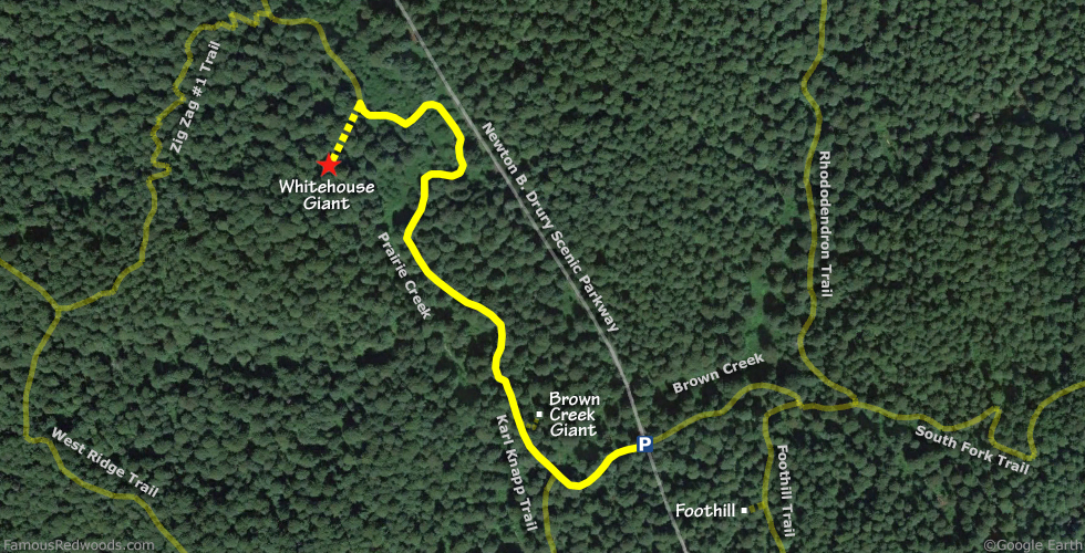 Whitehouse Giant Tree Hike Map
