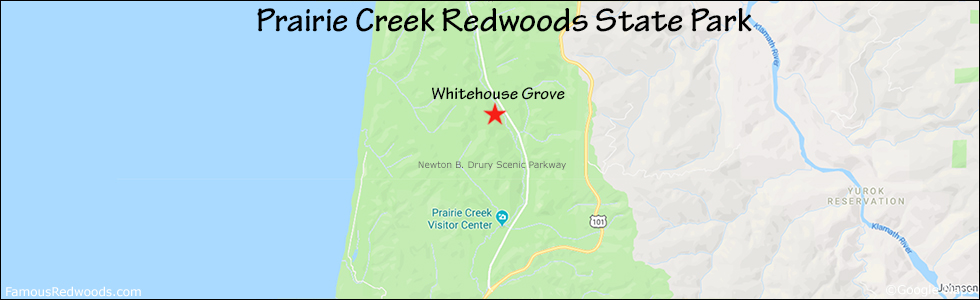 Map Whitehouse Grove