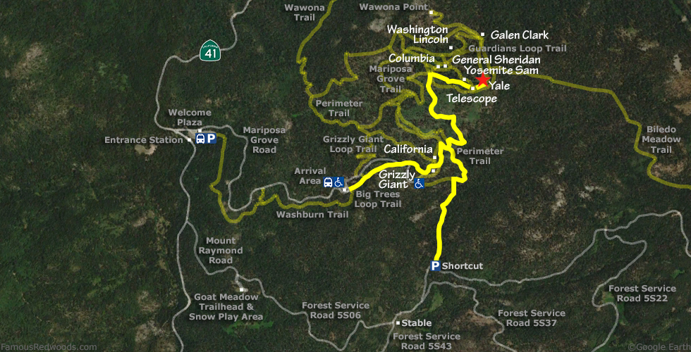 Yale Tree Hike Map