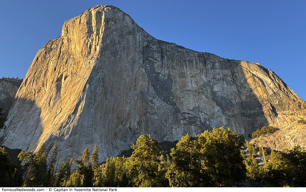 Yosemite National Park - El Capitan