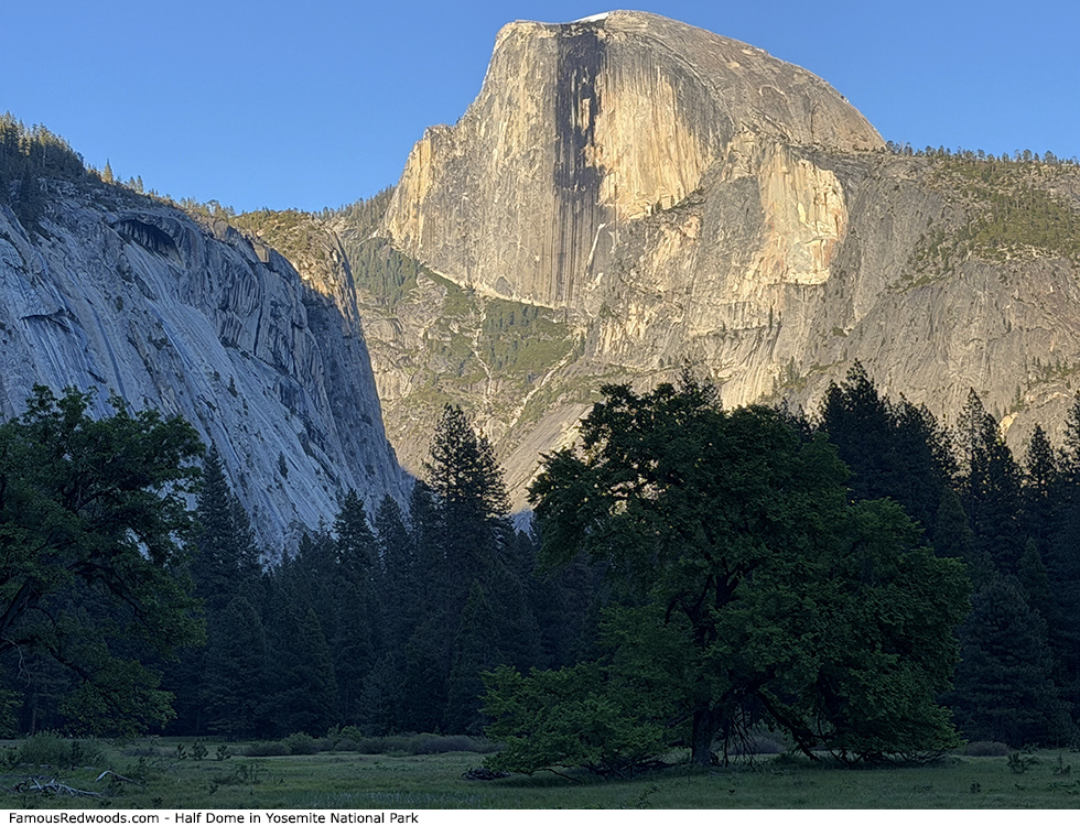 Yosemite National Park - Half Dome