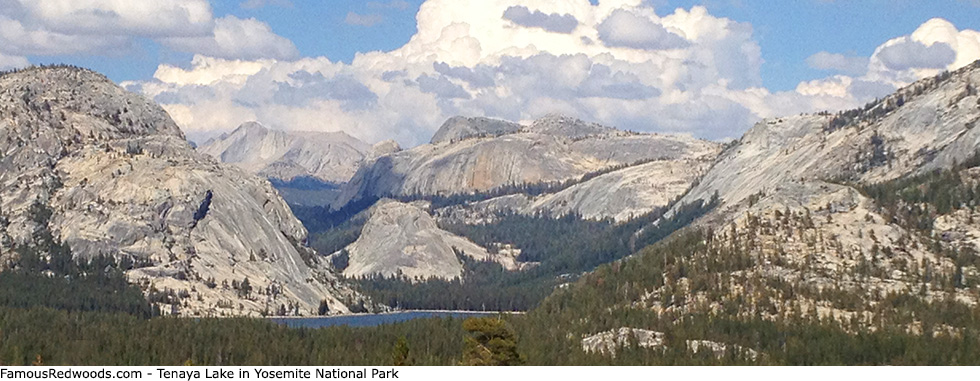 Yosemite National Park - Tenaya Lake