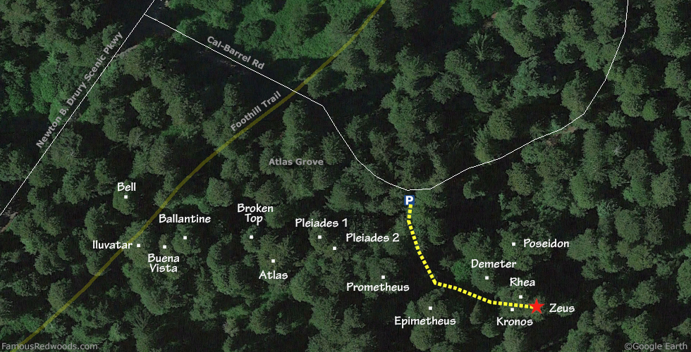 Zeus Tree Hike Map